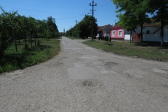 BANATSKO ARANDJELOVO VUKA KARADZICA 4 jul 2017_11