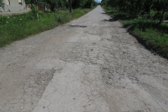 BANATSKO ARANDJELOVO VUKA KARADZICA 4 jul 2017_12