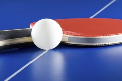 Table tennis equipment