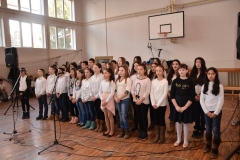 SV SAVA OS JJ ZMAJ _064