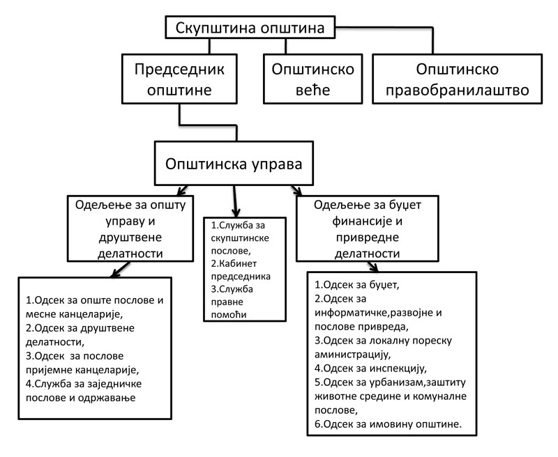 organizaciona struktura opstina novi knezevac